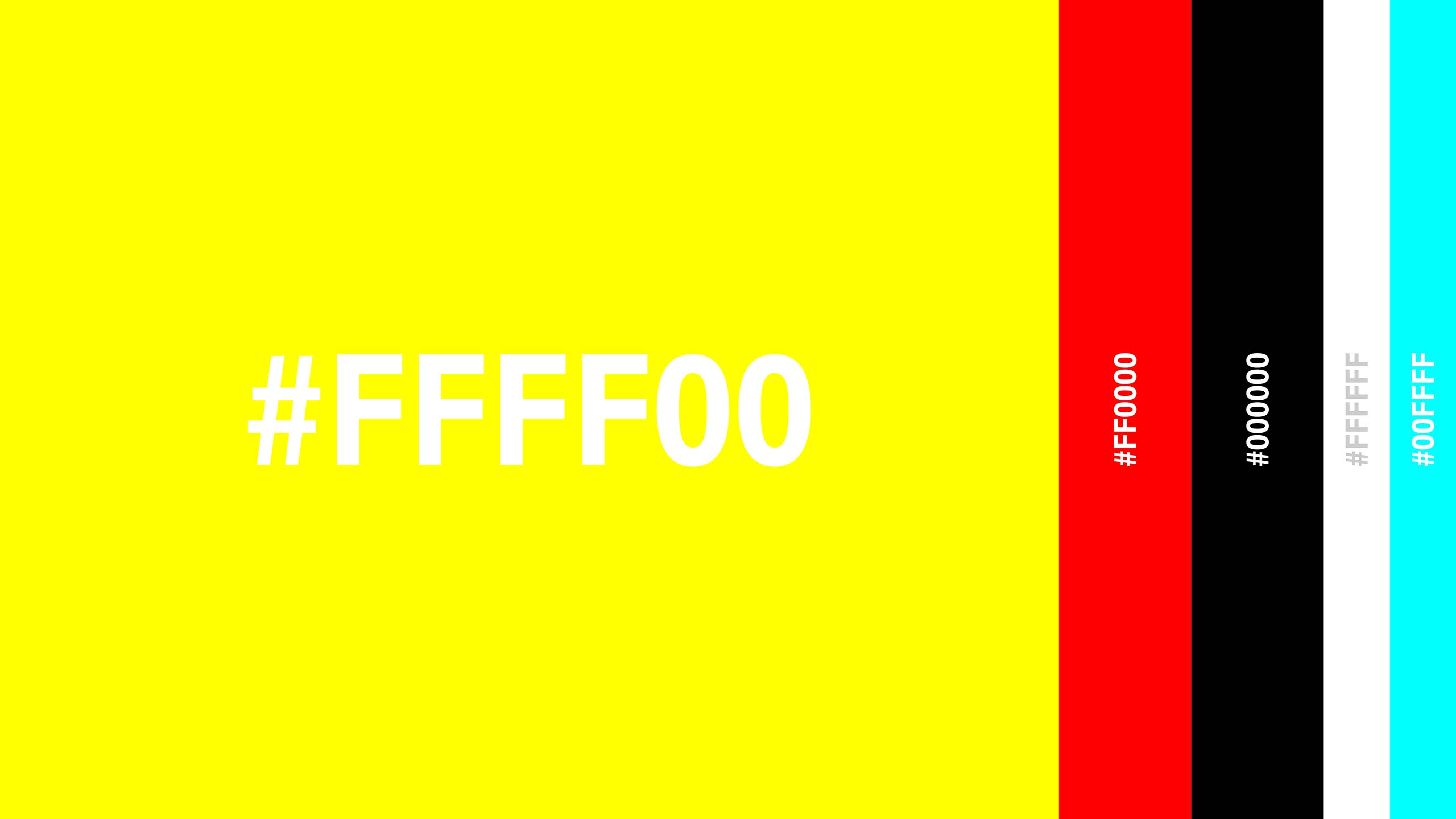Dutch-Portfolio-10-Creative-Showoff-Utrecht-Color